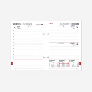 2914162000, Time-Master Esto-Nõunik Päev sisu