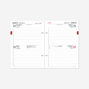 2914163000, Time-Master Esto-Nõunik Duo sisu