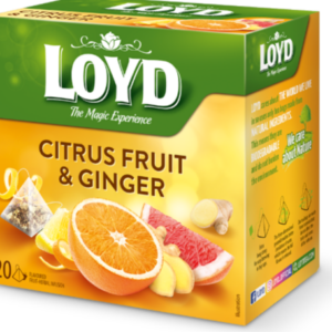 Tee LOYD ingveri- ja tsitrusemaitseline 20 x 2g