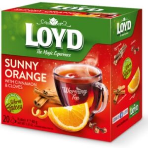 Tee LOYD apelsinikaneeli ja nelgimaitseline 20 x 2g