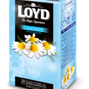 Tee LOYD Horeca kummel 20 x 1.5g