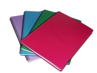 Kaustik SMLT, spiraalköitega, A4, 96 lehte, plastkaaned, ruuduline