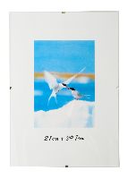 Pildiraam Clipframe 21x29,7cm