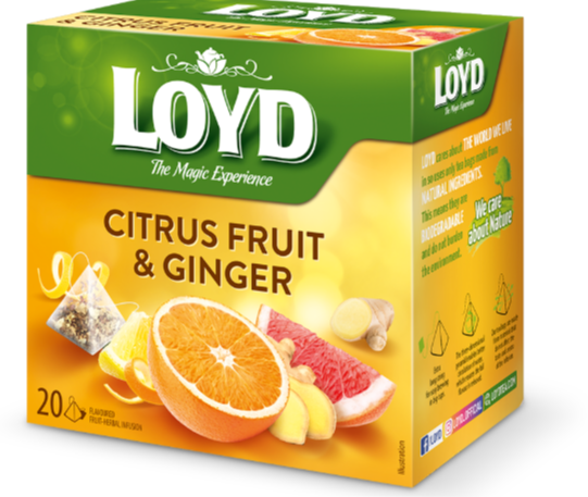 Tee LOYD ingveri- ja tsitrusemaitseline 20 x 2g