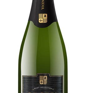 KPN Kvaliteetvahuvein HOYA DE CADENAS Cava Brut Blanco, 11,5% 0,75 L