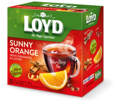 Tee LOYD apelsinikaneeli ja nelgimaitseline 20 x 2g