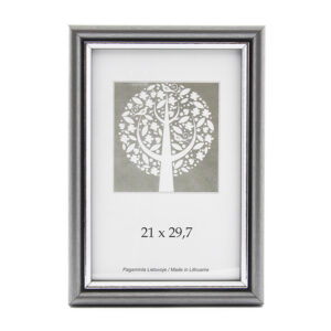Pildiraam SAVEX  21x29,7cm plast, hõbe
