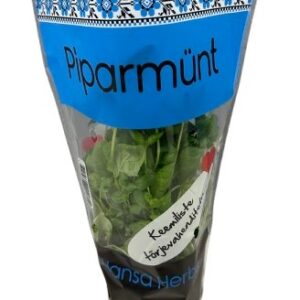 Piparmünt potis Hansa Herbs, TK