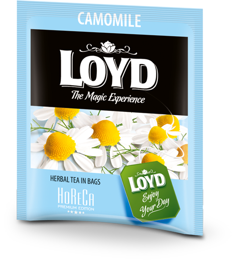 Kummelitee LOYD Horeca 500 x 1.5g