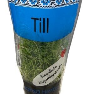 Till potis Hansa Herbs, TK
