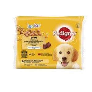 Koeraeine PEDIGREE Junior 4-pakk kutsikatele, 4x100 g