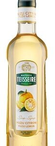 Siirup TEISSEIRE Sidrun, 1 l