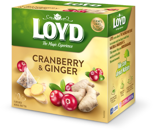 Tee LOYD jõhvika- ja ingverimaitseline 20 x 2g