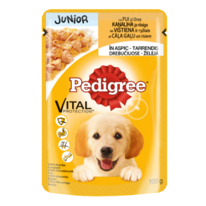 Junior koeraeine PEDIGREE kutsikatele kanalihaga tarrendis, 100 g