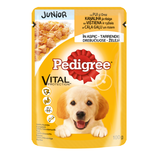 Junior koeraeine PEDIGREE kutsikatele kanalihaga tarrendis, 100 g